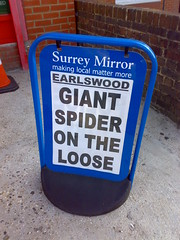 Earlswood - Giant Spider on the loose