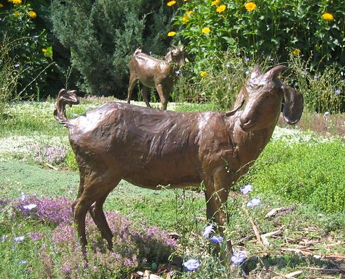 bronze goat