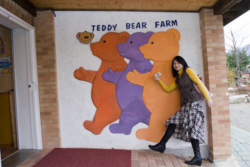 韓國 泰迪熊博物館