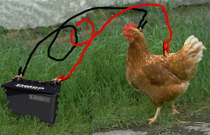 battery chicken Photoshop