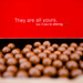 They are all yours (220/365)