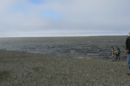 Arctic Ocean with ice shelf in distance