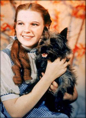 dorothy-and-toto