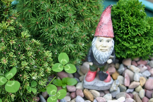 My gnome grew weeds