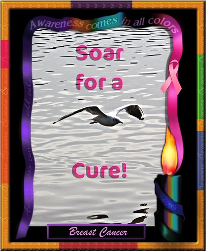Soar for a Cure!