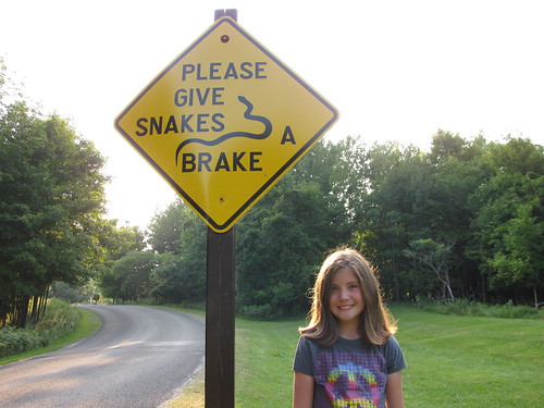 Give snakes a brake