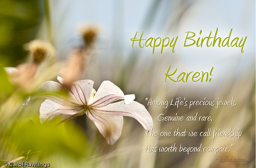 happy birthday karen
