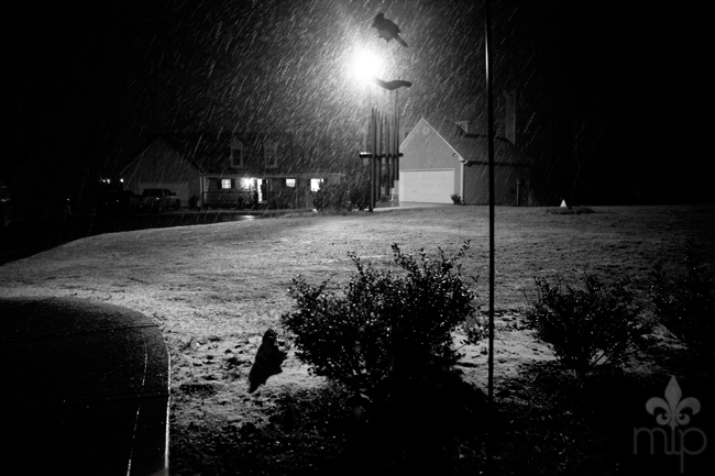 Snow in Dawsonville