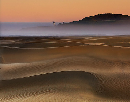 beach sand dunes. Agate Beach Sand Dunes-Oregon