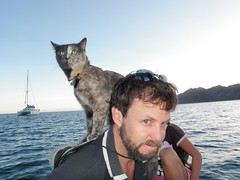 Our Boat Parrot is a Cat