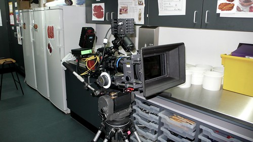film production education
