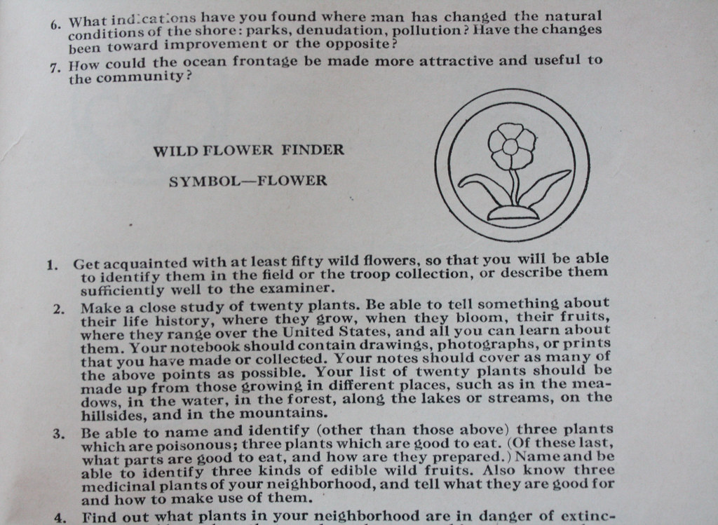 wild flower symbol