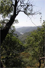 南何山自然谷。圖片來自：荒野協會。