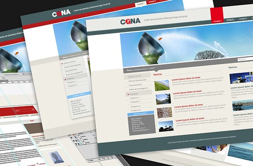 Re-diseño sitio web CGNA