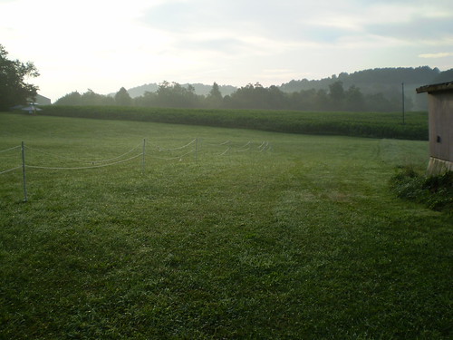 Morning in Meadows of Dan