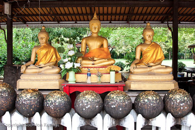 Buddhas @ Amphawa, Thailand