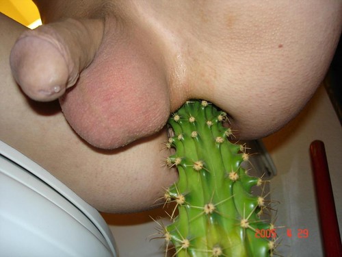 Cactus Up The Ass