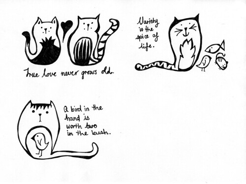 cat-proverbs