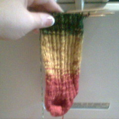 Sock in Progress