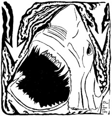 shark maze open jaws