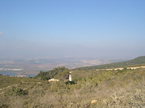 View from Mt. Carmel 2 ©  upyernoz