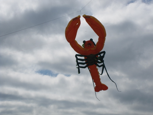 Lobster Kite
