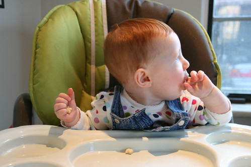 Baby vs finger food