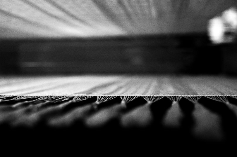 The Warp and the Weft (53/365)