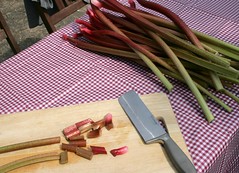 making rhubarb cordial