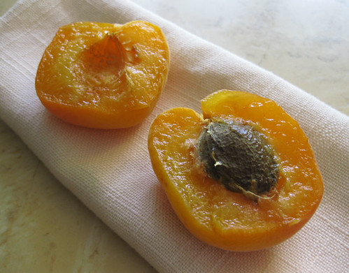 Ripe Apricot
