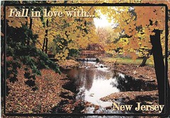 Swap with USA - Fall in love with New Jersey