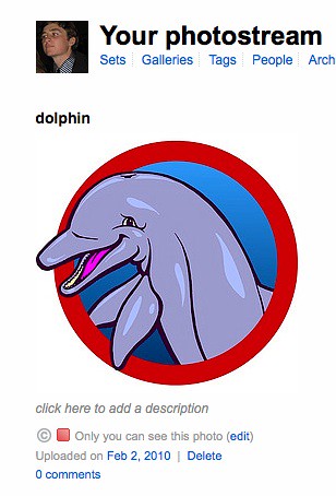 dolphinphotostream