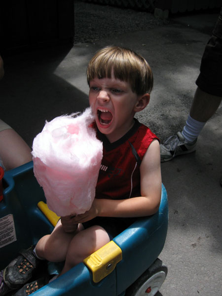 Nephew Eating Cotton Candy (Click to enlarge)