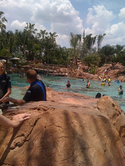 Discovery Cove -- Swimming With the Rays