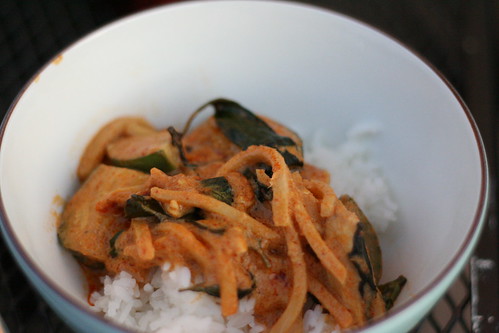 Red Curry with Thai Eggplants and Bamboo Shoots