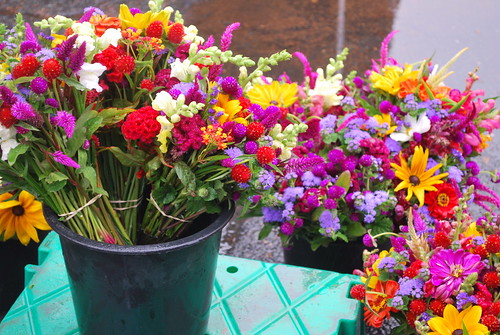 Farmers Market flowers-1