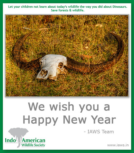 iaws-2010-new-year-wishes-4