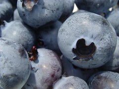 Blauwe bessen Blueberries