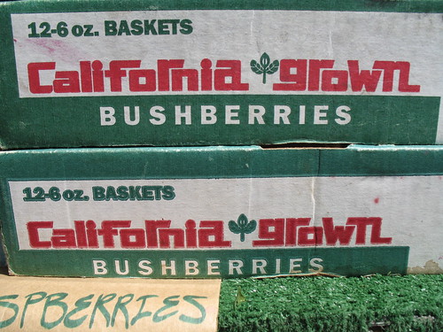 California Grown Bushberries