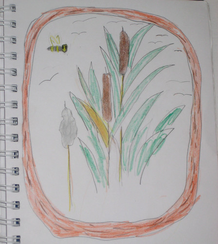 Cattail Nature Journal (By Zippy Age 9)