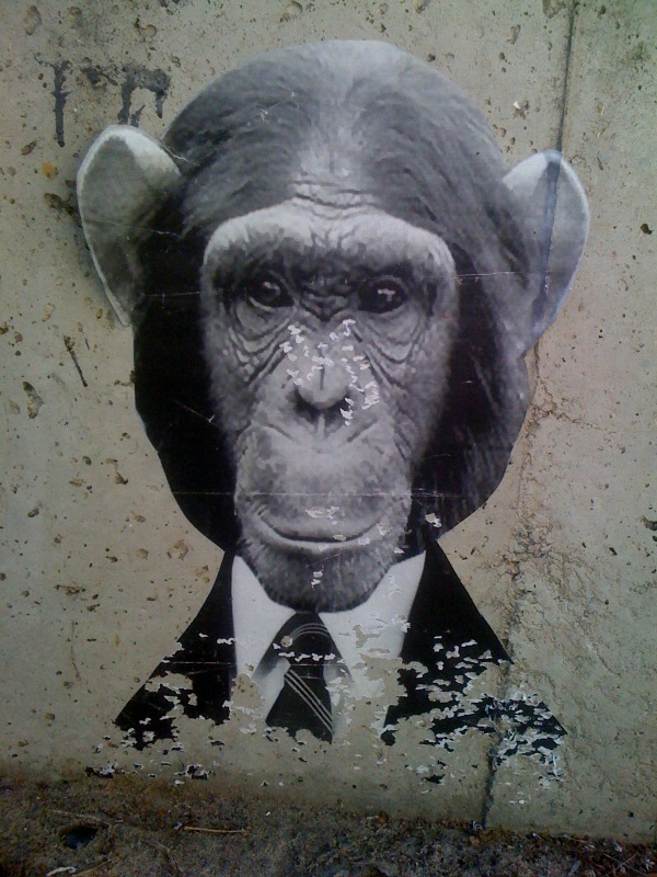 chimp in suit