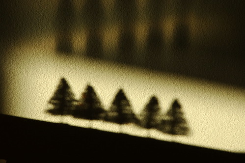 5 christmas trees