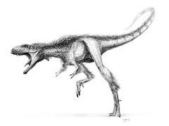 090917-tiny-t-rex-dinosaur-raptorex_70kg TODD MARSHALL