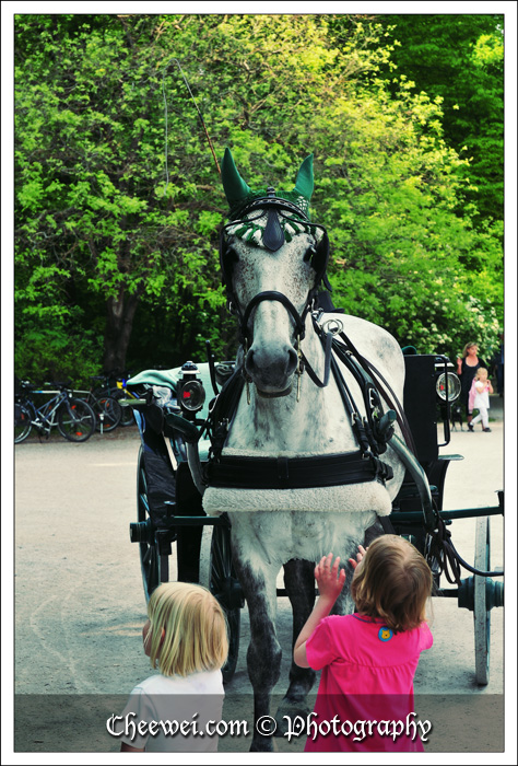 Horse in English Garden, Munich, Germany