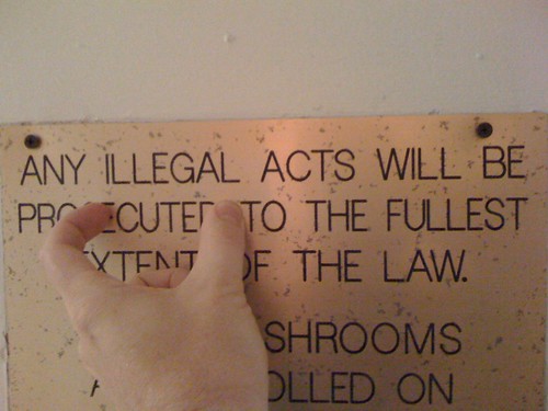 Any Illegal Acts Will Be Cute