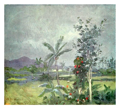 017- LLuvia tropical en Jamaica-The West Indies 1905- Ilustrations Archibald Stevenson Forrest
