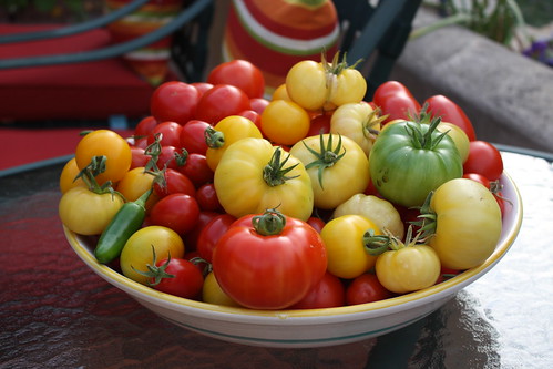 Friend's Tomatoes