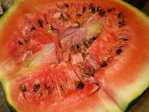 My homegrown watermelon (disaster)