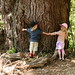 Lil' Tree Hugggers