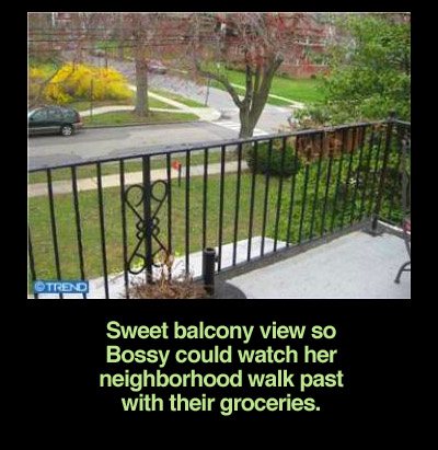 balcony-view
